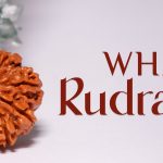 What is Rudraksha