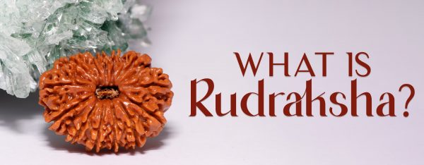 What is Rudraksha