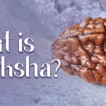 What is Bhadraksha?