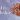 What is Bhadraksha?