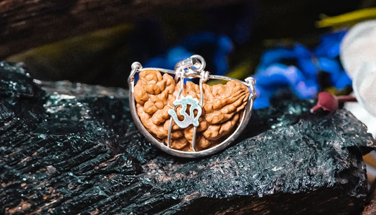 One mukhi Rudraksha One mukhi Rudraksha