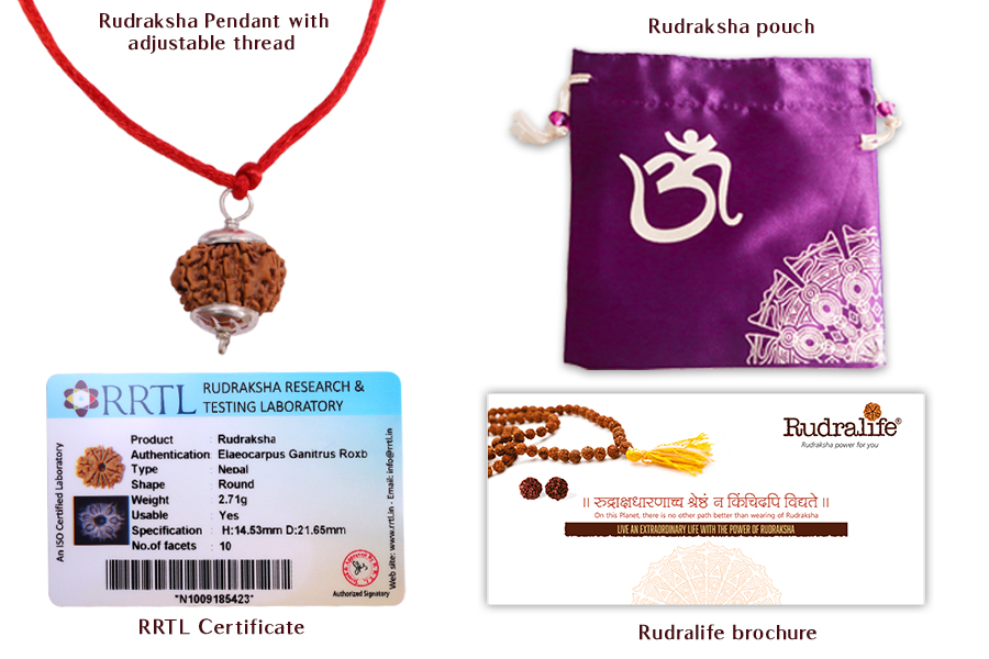 10 Mukhi Rudraksha Pendant 10 Mukhi Rudraksha Pendant