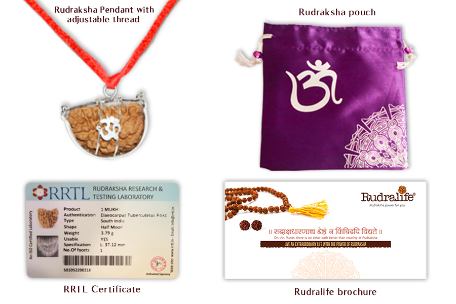 One Mukhi Rudraksha