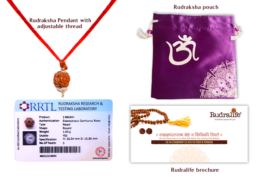 RRTL Certificate, Rudralife brochure, Rudraksha Pouch, Rudraksha Pedant with adjusatable thread RRTL Certificate, Rudralife brochure, Rudraksha Pouch, Rudraksha Pedant with adjusatable thread