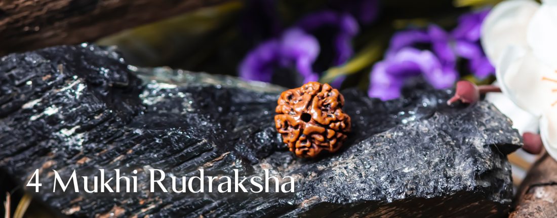 4 Mukhi Rudraksha