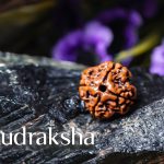 4 Mukhi Rudraksha