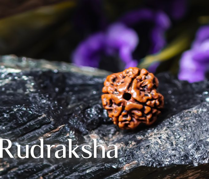 4 Mukhi Rudraksha