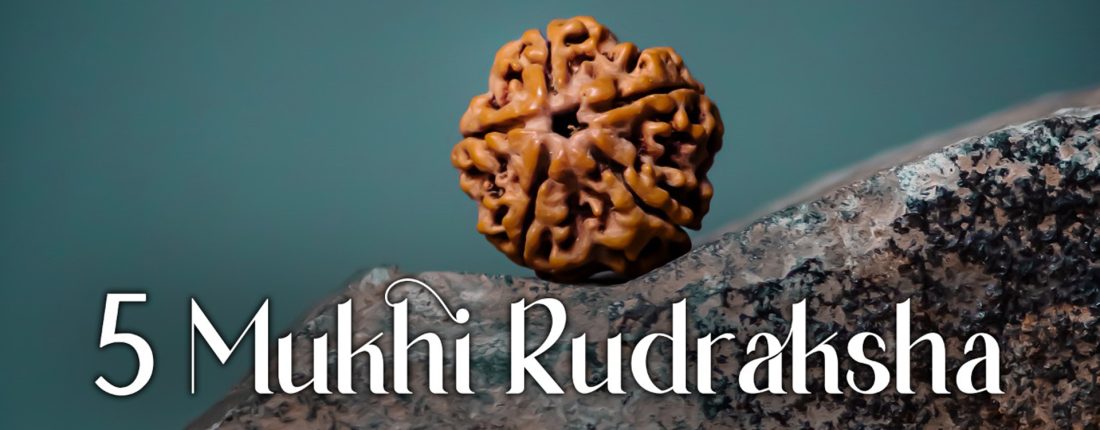 Five Mukhi Rudraksha