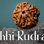 Five Mukhi Rudraksha