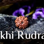 8 Mukhi Rudraksha