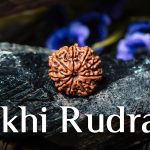Nine Mukhi Rudraksha