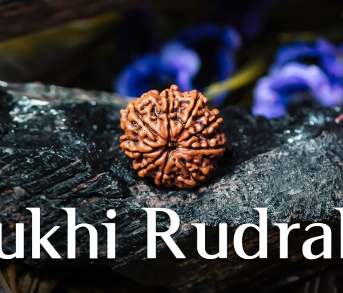 Nine Mukhi Rudraksha