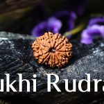 Ten Mukhi Rudraksha