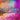 The Festival of Colors