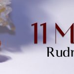 11 Mukhi Rudraksha