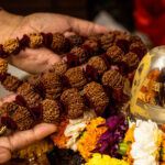 Shravan Rudraksha