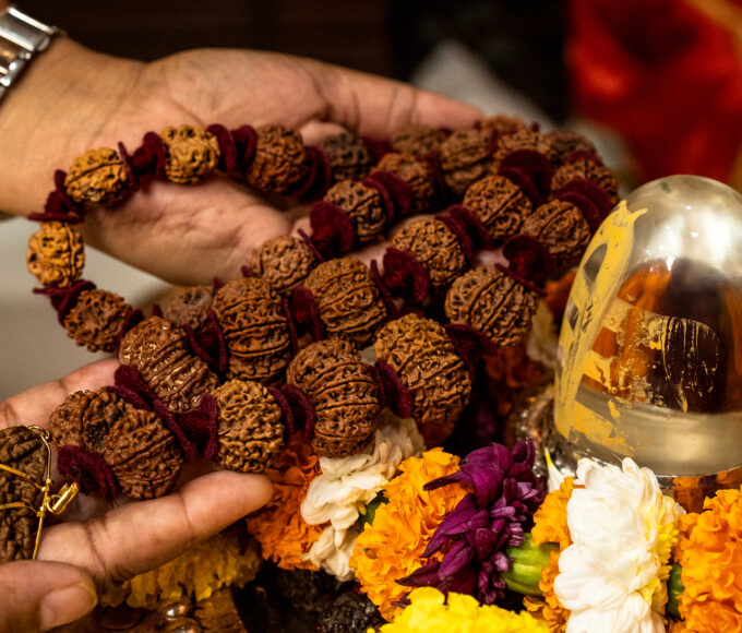 Shravan Rudraksha