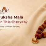 Which Rudraksha Mala Should You Wear This Shravan