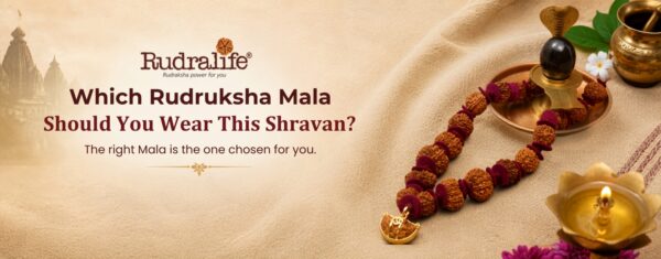 Which Rudraksha Mala Should You Wear This Shravan