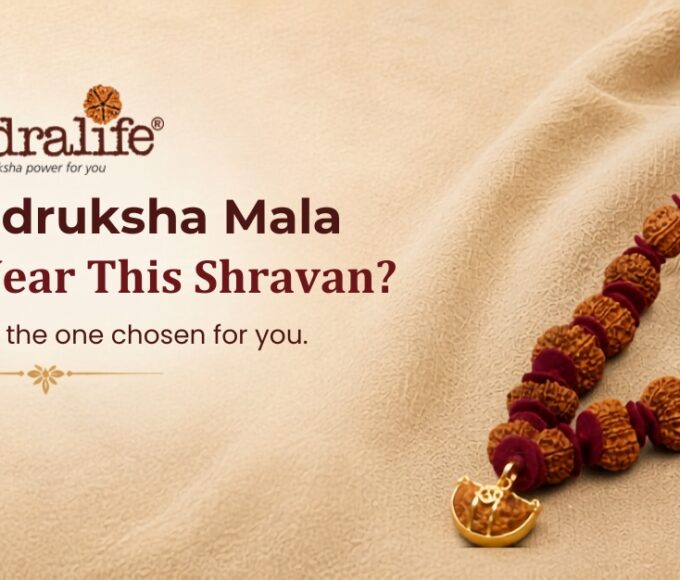 Which Rudraksha Mala Should You Wear This Shravan