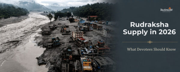 Rudraksha supply Nepal 2026