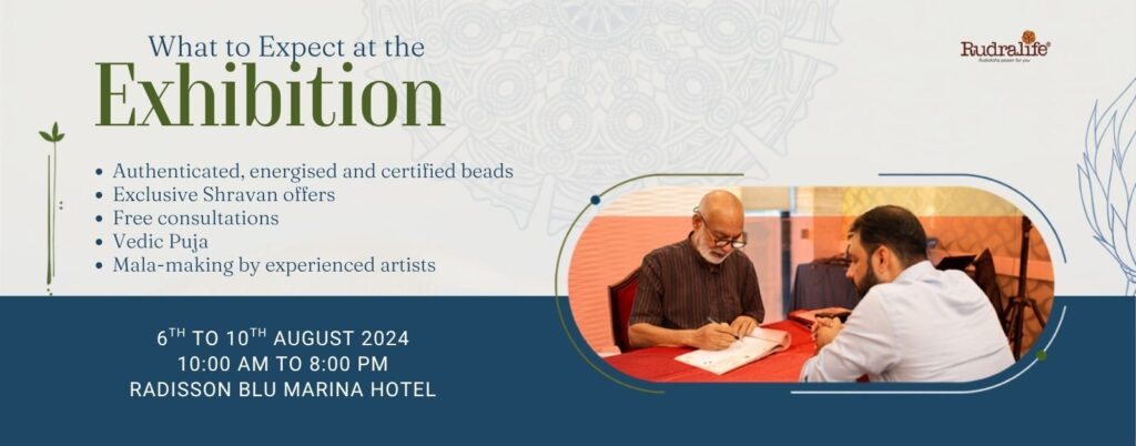 What to Expect at the Exhibition