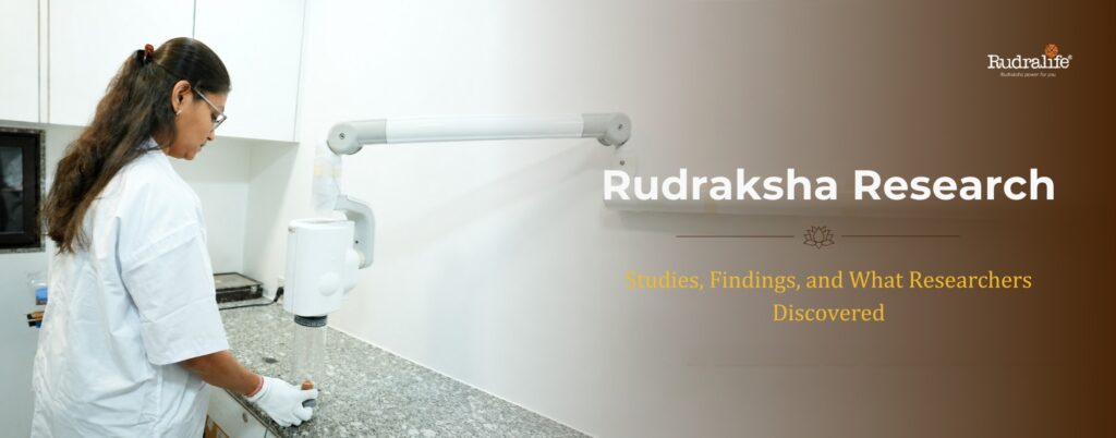 X-ray scan of a Rudraksha bead being examined at the RRTL lab
