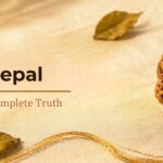 Genuine half-moon one Mukhi Rudraksha, not the 1 Mukhi Nepal sold online