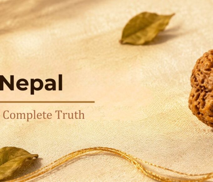 Genuine half-moon one Mukhi Rudraksha, not the 1 Mukhi Nepal sold online