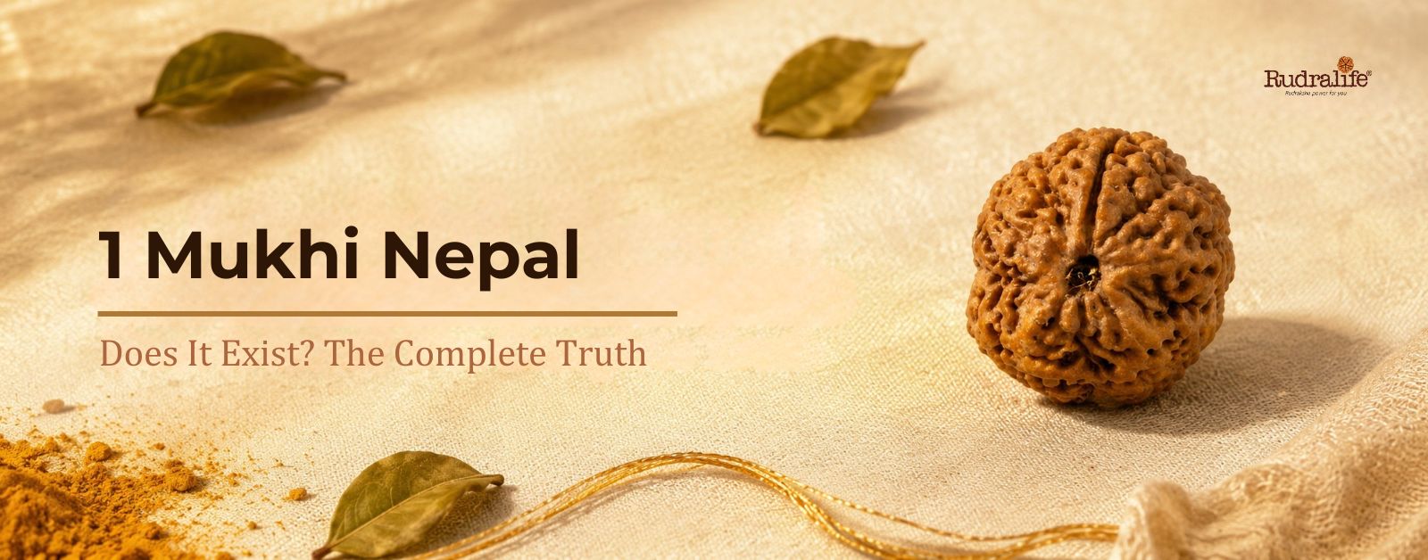 Genuine half-moon one Mukhi Rudraksha, not the 1 Mukhi Nepal sold online