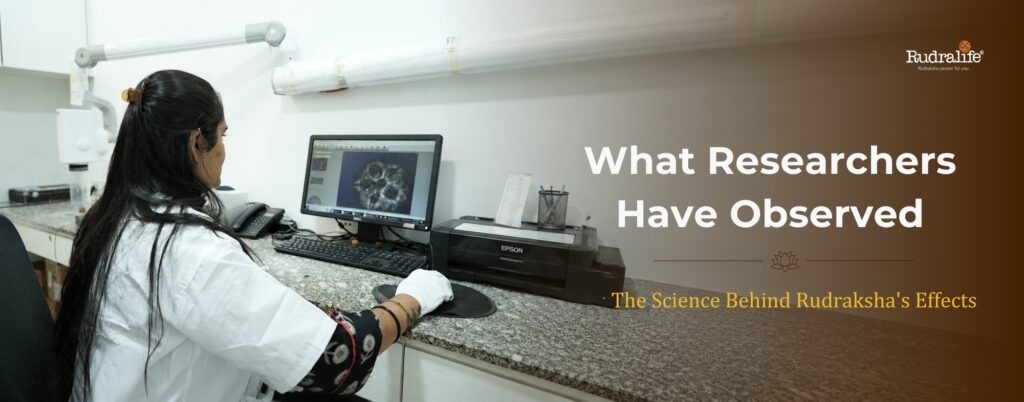 X-ray verification of a Rudraksha bead at the RRTL lab