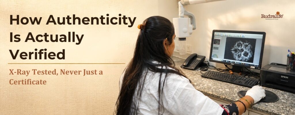 X-ray verification at RRTL, the only reliable test for a 1 Mukhi Nepal claim