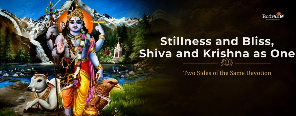Harihara form of Shiva and Krishna worshipped on Krishna Janmashtami