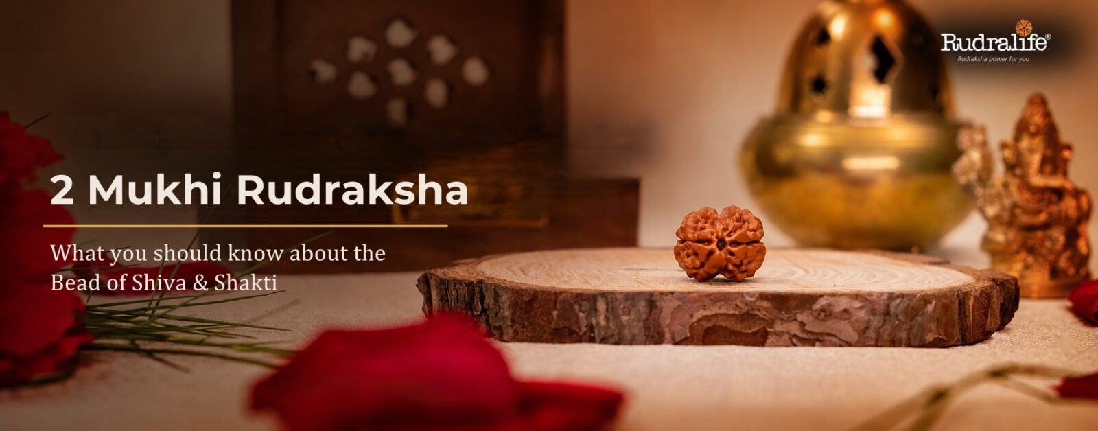 2 Mukhi Rudraksha, the bead of Ardhanareshwara, Shiva & Shakti as one, explained by Rudralife
