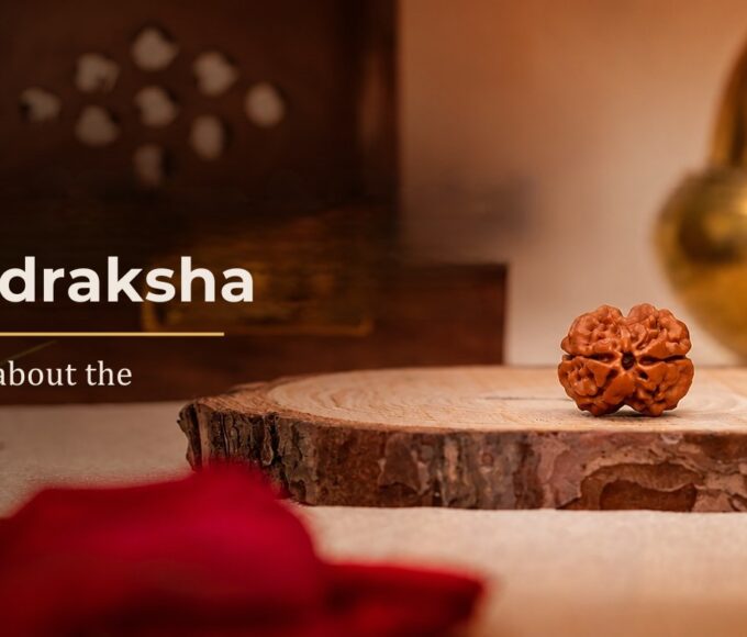 2 Mukhi Rudraksha, the bead of Ardhanareshwara, Shiva & Shakti as one, explained by Rudralife