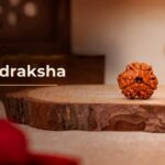 3 Mukhi Rudraksha bead from Nepal on a wooden base, the sacred bead of Agni