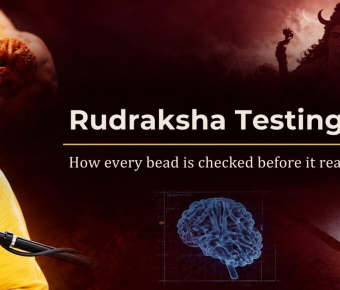 Rudraksha testing explained by Dr. Tanay Seetha on the Rudralife podcast, with a bead under a lab microscope