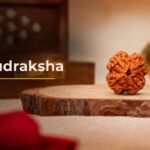 4 Mukhi Rudraksha bead from Nepal on a wooden base, the sacred bead of Brahma