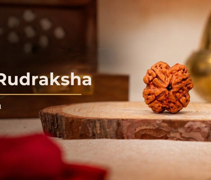 4 Mukhi Rudraksha bead from Nepal on a wooden base, the sacred bead of Brahma