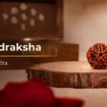 5 Mukhi Rudraksha bead from Nepal on a wooden base, the sacred bead of Kalagni Rudra, a form of Shiva