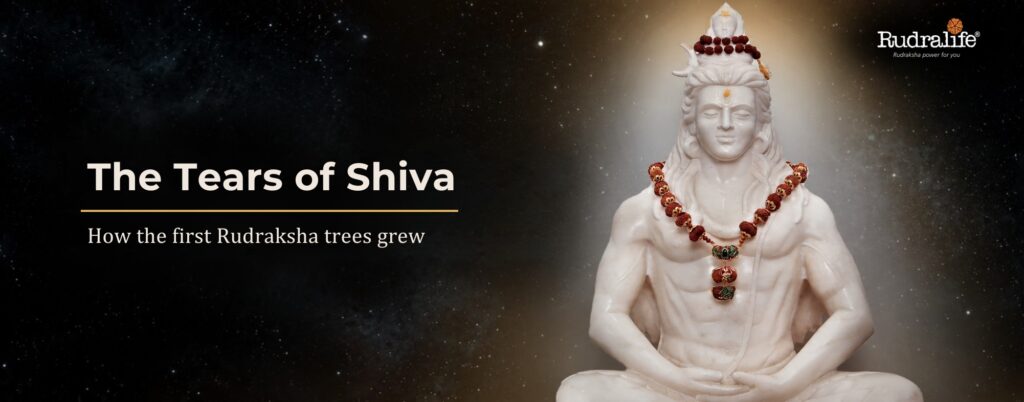 Lord Shiva in meditation wearing a Rudraksha mala, the sacred origin of 2 Mukhi Rudraksha & all Rudraksha