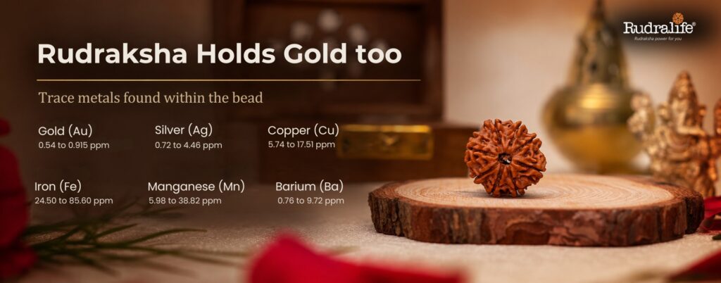 Like gold on Dhanteras, Rudraksha holds trace gold, silver, copper, iron, manganese & barium within the bead