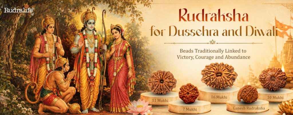 Rudraksha for the Dussehra to Diwali season, with 16, 11, 10, 7 Mukhi and Ganesh Rudraksha